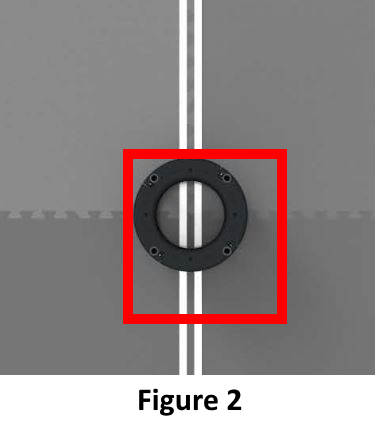 [Example Image]