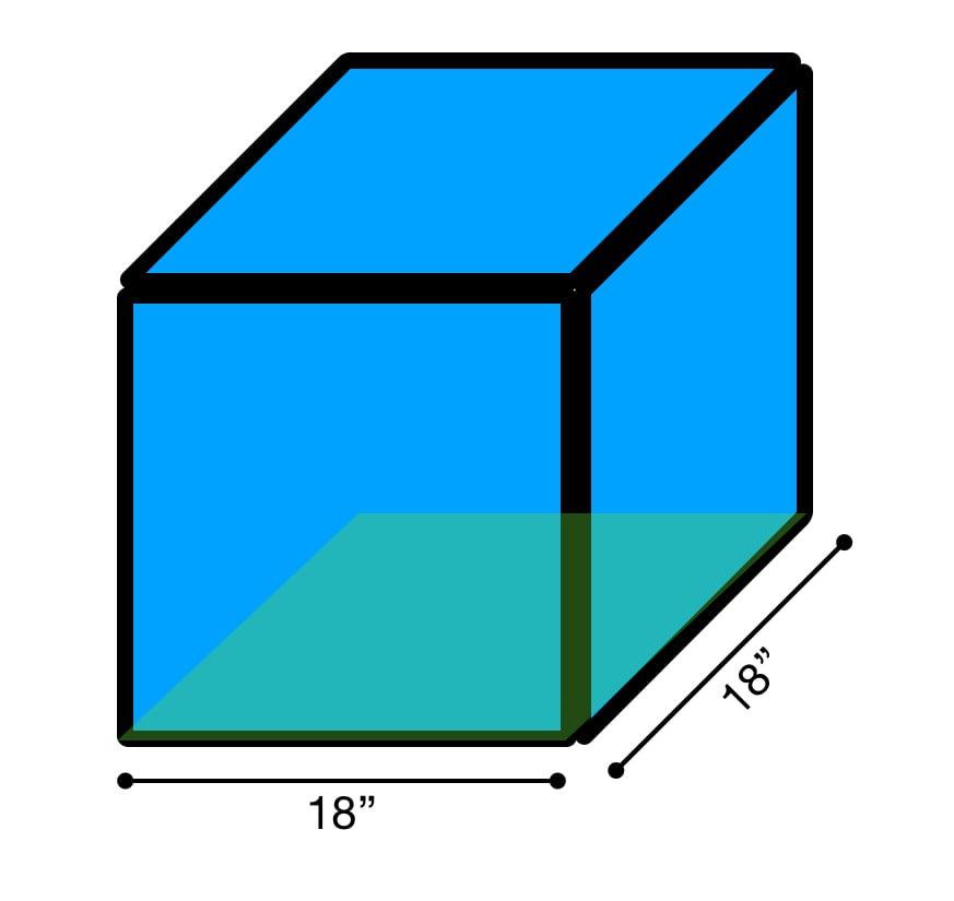 [Example Image]