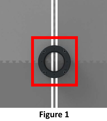 [Example Image]