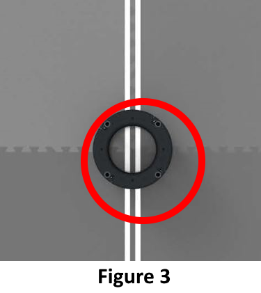 [Example Image]