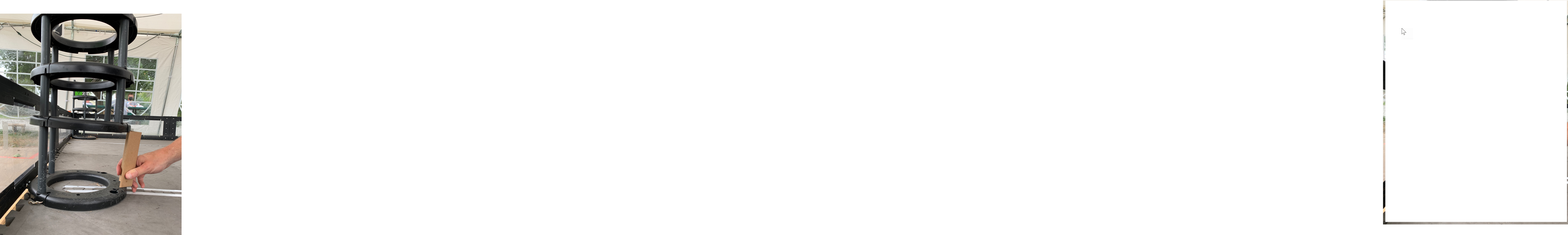 [Example Image]