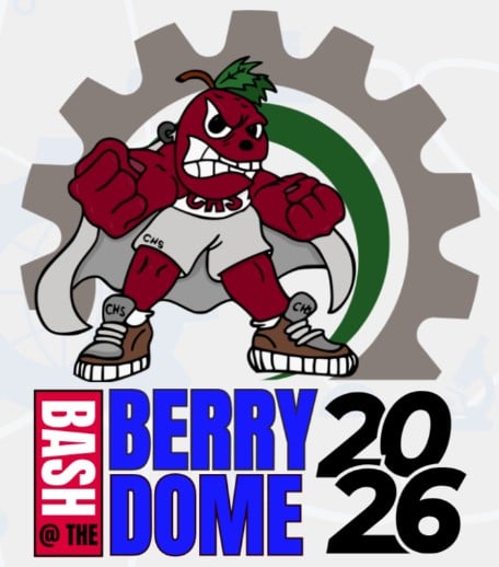 Bash at the Berry Dome: VIQRC