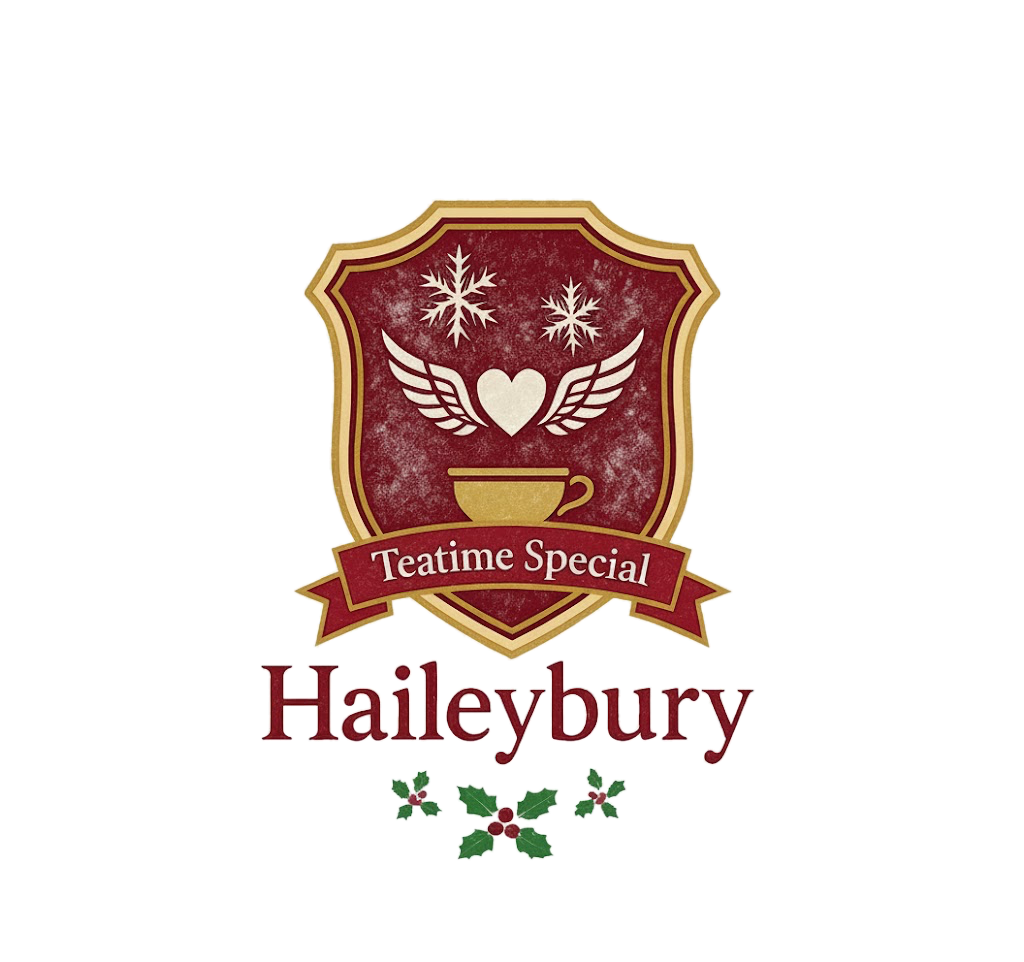 VIQRC | Mix & Match | Haileybury Xmas Teatime Special | (ES/MS)