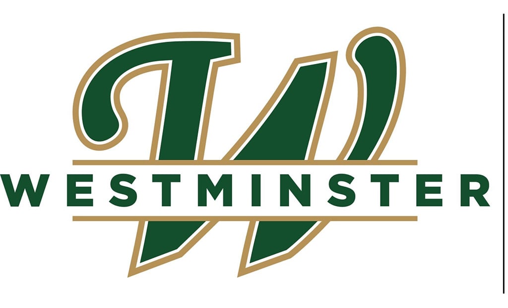 Sponsors